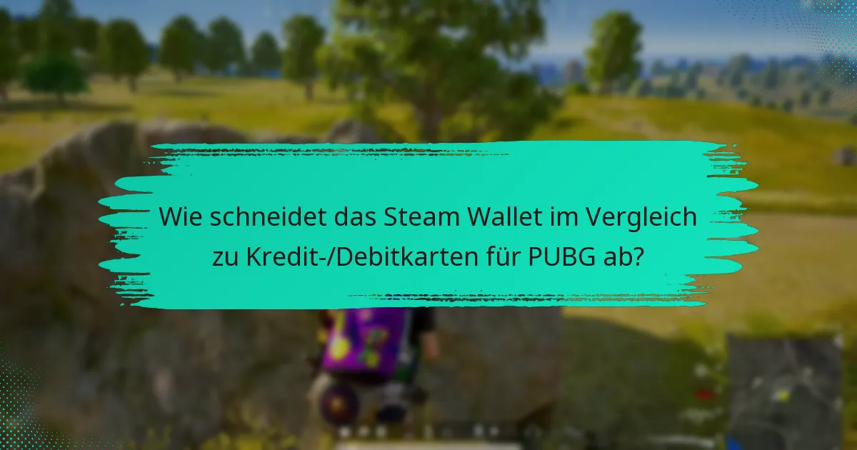 Was sind die Nachteile der Verwendung des Steam Wallet für PUBG?