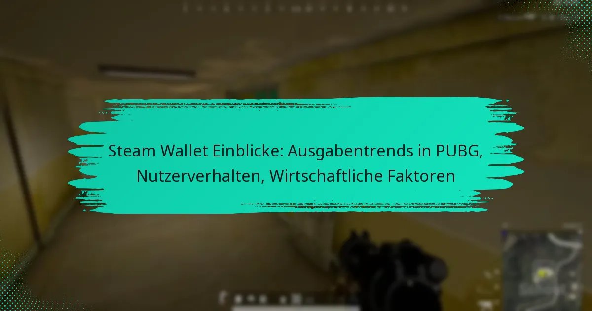 Steam Wallet Einblicke: Ausgabentrends in PUBG, Nutzerverhalten, Wirtschaftliche Faktoren