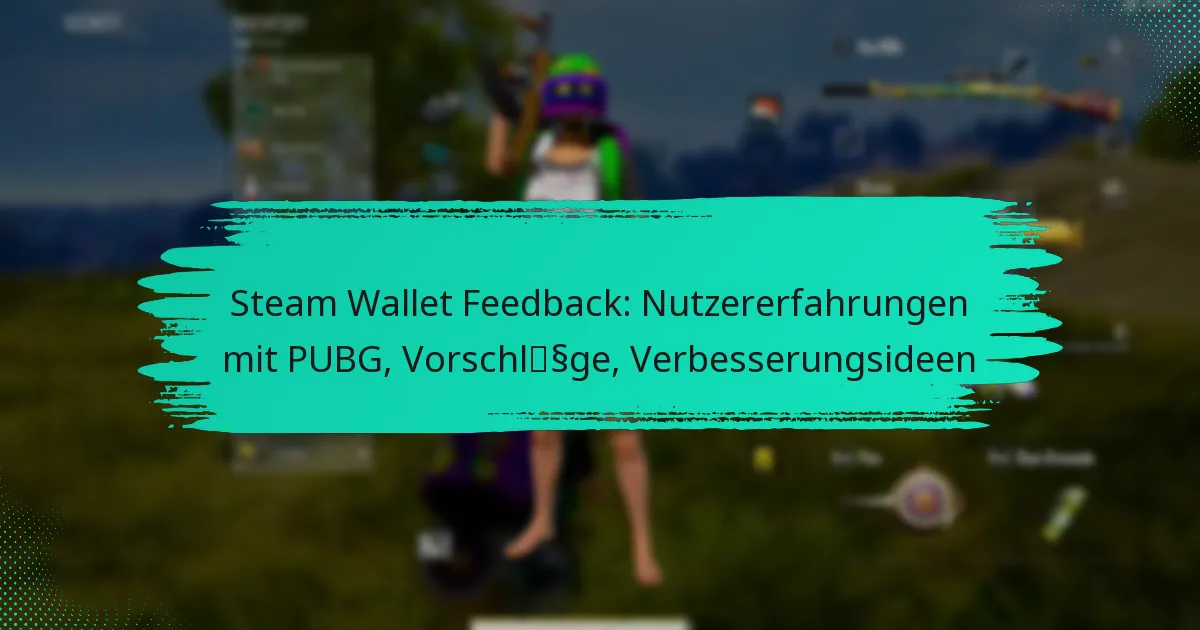 Steam Wallet Feedback: Nutzererfahrungen mit PUBG, Vorschläge, Verbesserungsideen