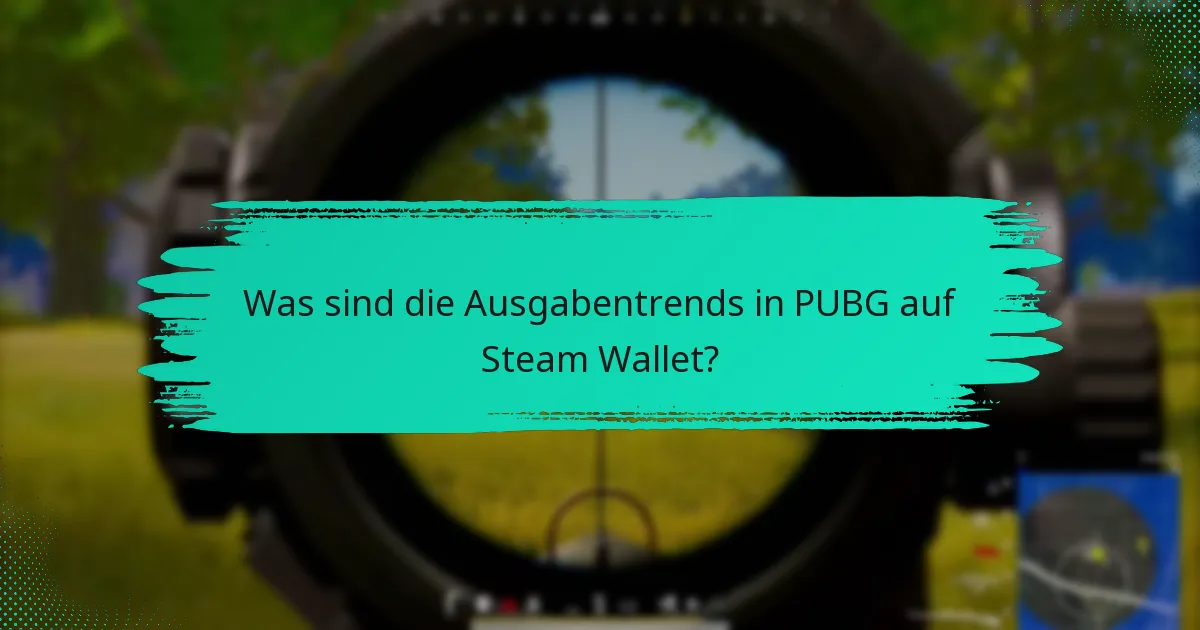 Wer sind die typischen PUBG-Spieler und wie verhalten sie sich?