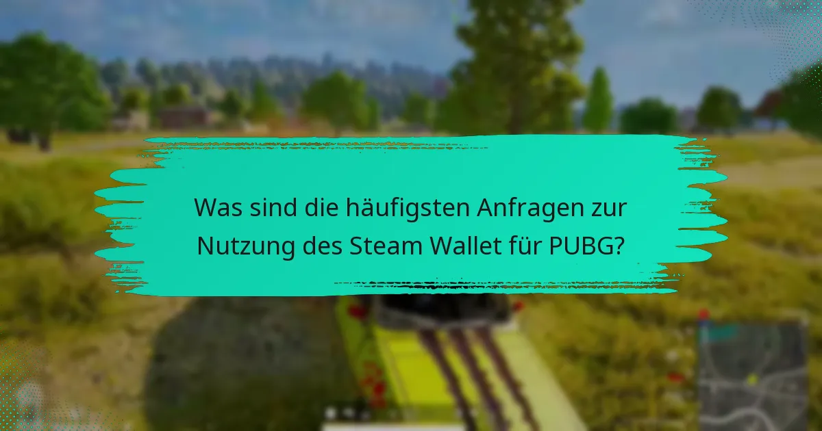 Wie behebt man Probleme mit dem Steam Wallet in PUBG?