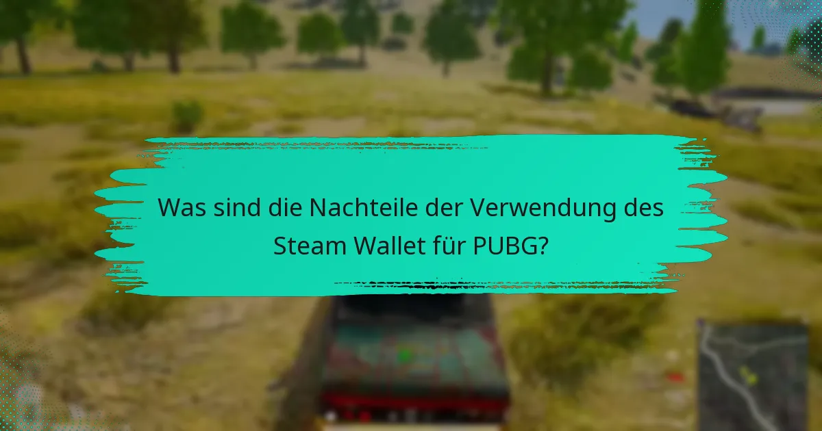 Wie schneidet das Steam Wallet im Vergleich zu Kredit-/Debitkarten für PUBG ab?