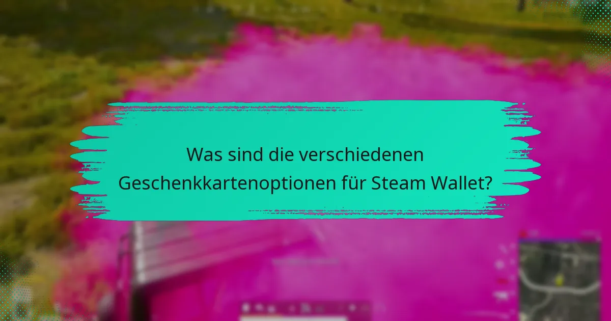 Wie sende ich ein Steam Wallet Geschenk für PUBG?