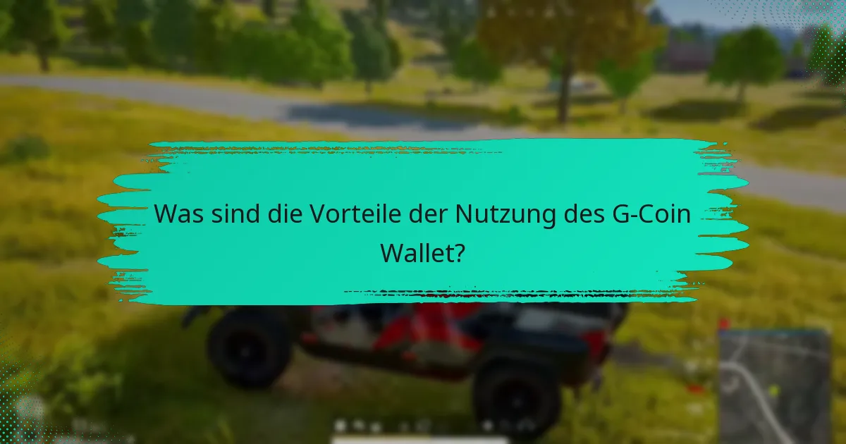 Wie funktioniert die Währungsumrechnung im G-Coin Wallet?