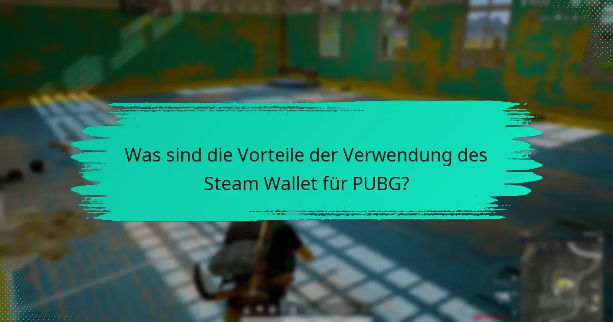 Wie schneidet das Steam Wallet im Vergleich zu PayPal für PUBG ab?