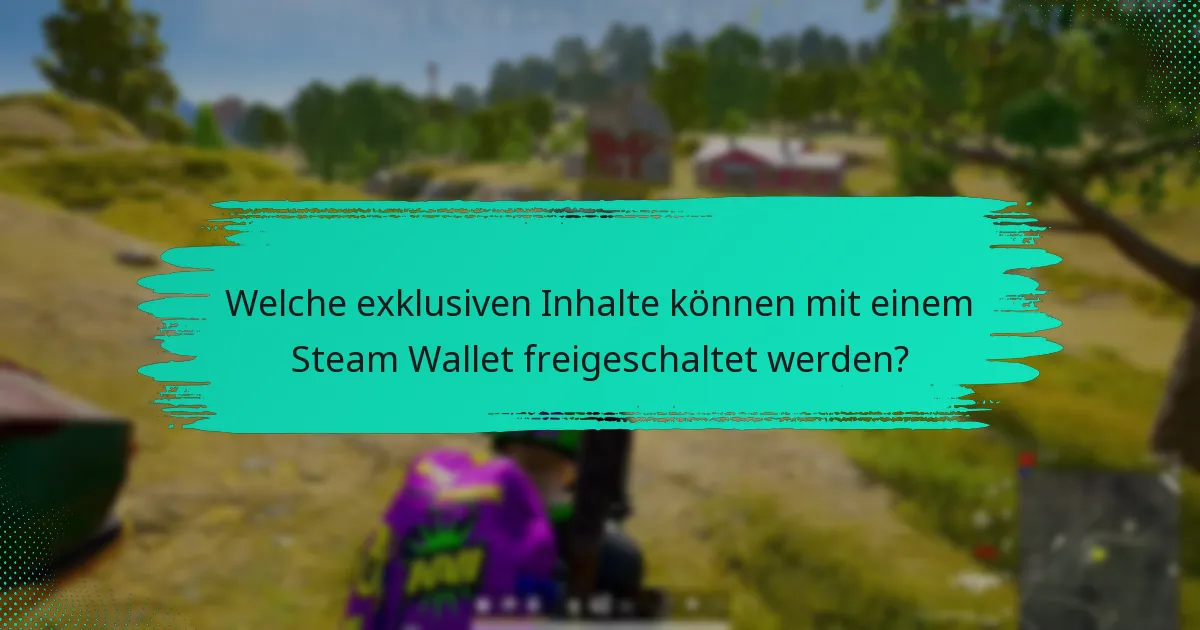 Wie funktioniert der frühzeitige Zugang mit dem Steam Wallet für PUBG?