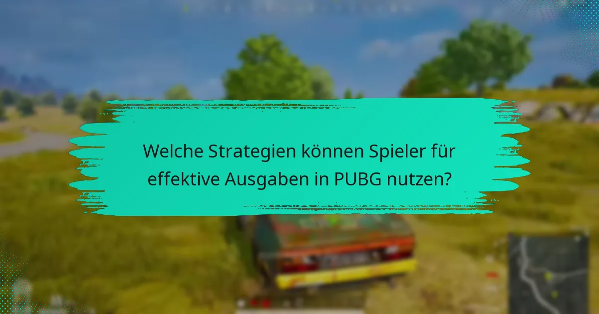Welche wirtschaftlichen Faktoren beeinflussen die Ausgaben in PUBG?