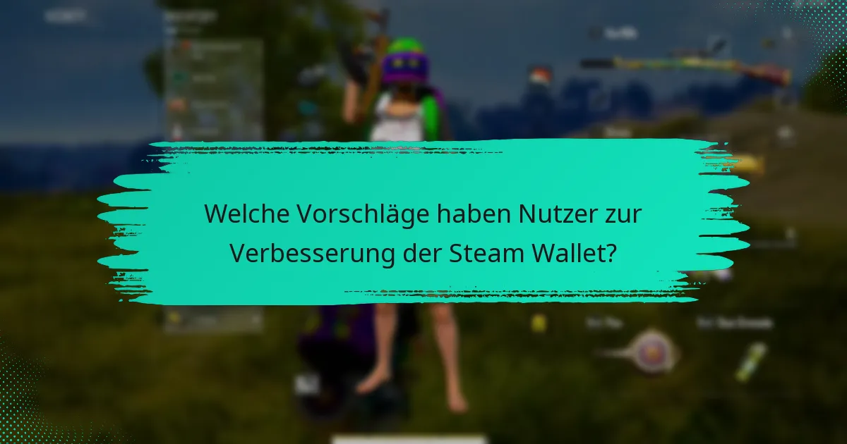 Welche häufigen Probleme haben Nutzer mit der Steam Wallet in PUBG?