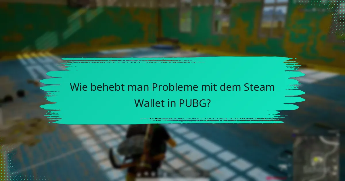 Was sind die Richtlinien zur Nutzung des Steam Wallet für PUBG?