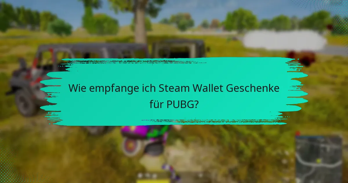 Was sind die verschiedenen Geschenkkartenoptionen für Steam Wallet?